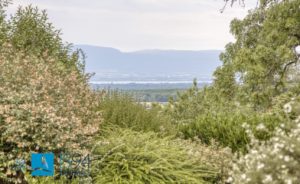 1761664299_VM304_30_original