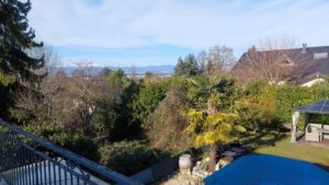 1768839776_VM318_11_original