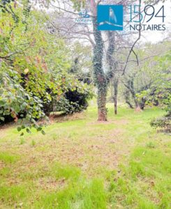 1769092830_VM314_13_original