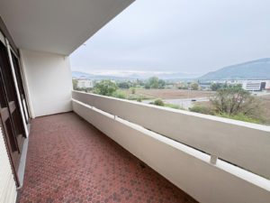 Grand T2 dans résidence Les Saules